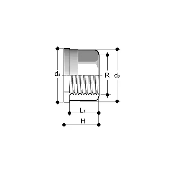 PEZZO FOLLE FILETTATO AISI316 F PER BOCCHETTONE ø025 mm 0404148 1